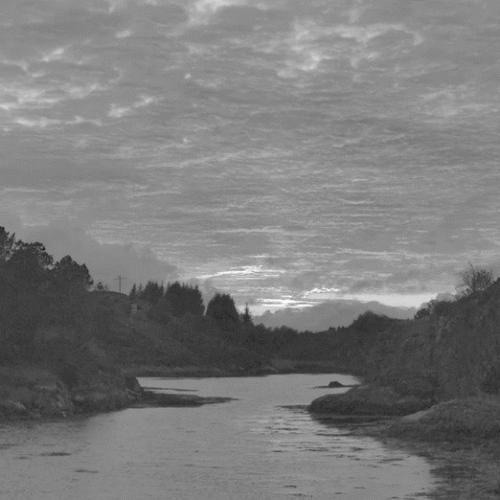 Blodtørst (NOR) : Troll